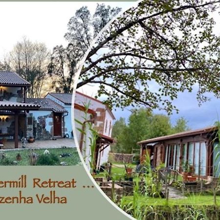 Apartament The Old Watermill Retreat - O Retiro Da Azenha Velha Vila Nova de Poiares Zewnętrze zdjęcie
