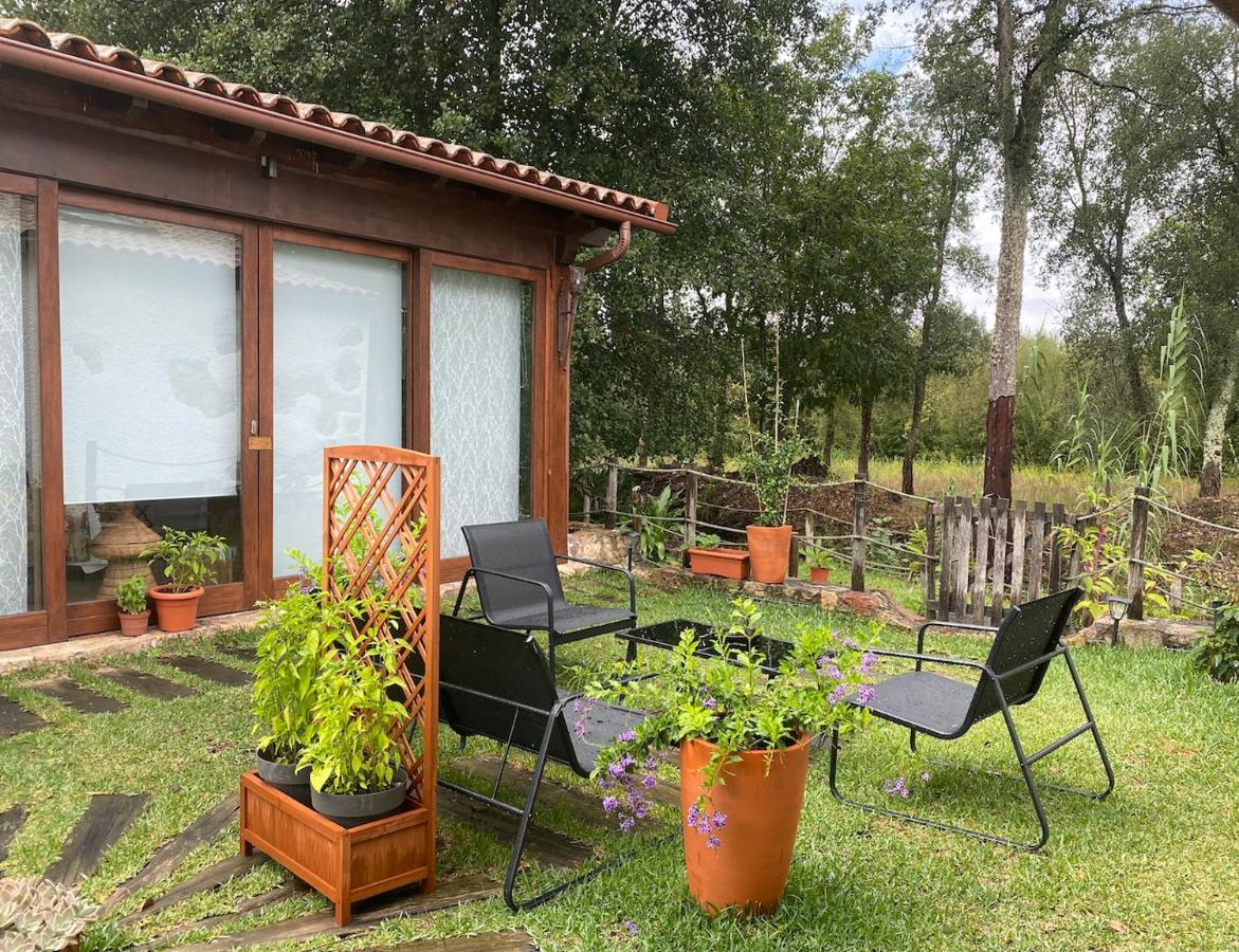 Apartament The Old Watermill Retreat - O Retiro Da Azenha Velha Vila Nova de Poiares Zewnętrze zdjęcie