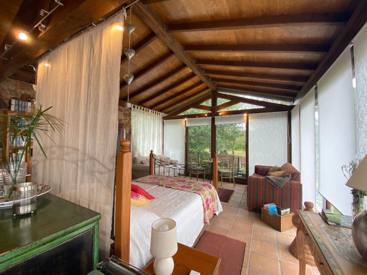 Apartament The Old Watermill Retreat - O Retiro Da Azenha Velha Vila Nova de Poiares Zewnętrze zdjęcie