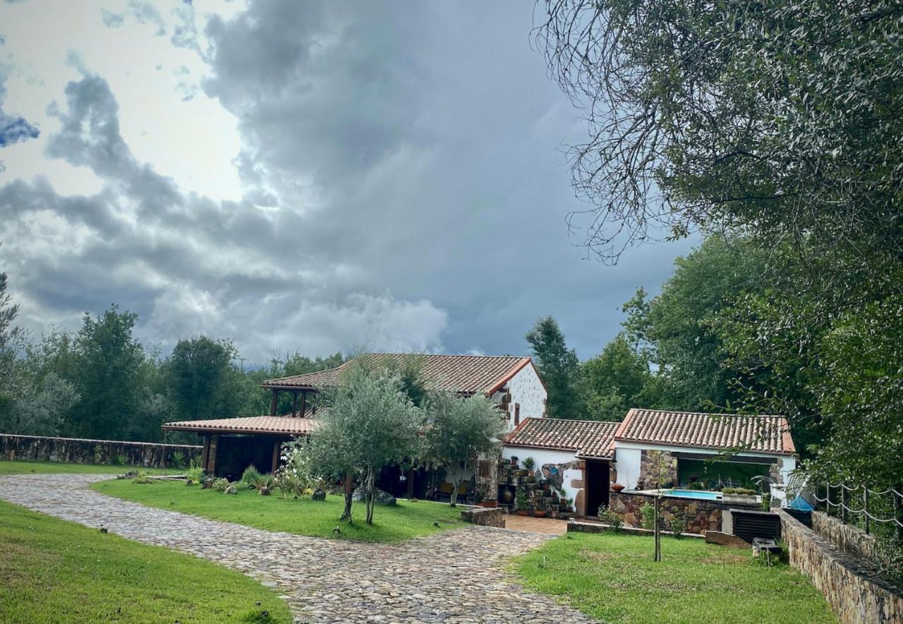 Apartament The Old Watermill Retreat - O Retiro Da Azenha Velha Vila Nova de Poiares Zewnętrze zdjęcie
