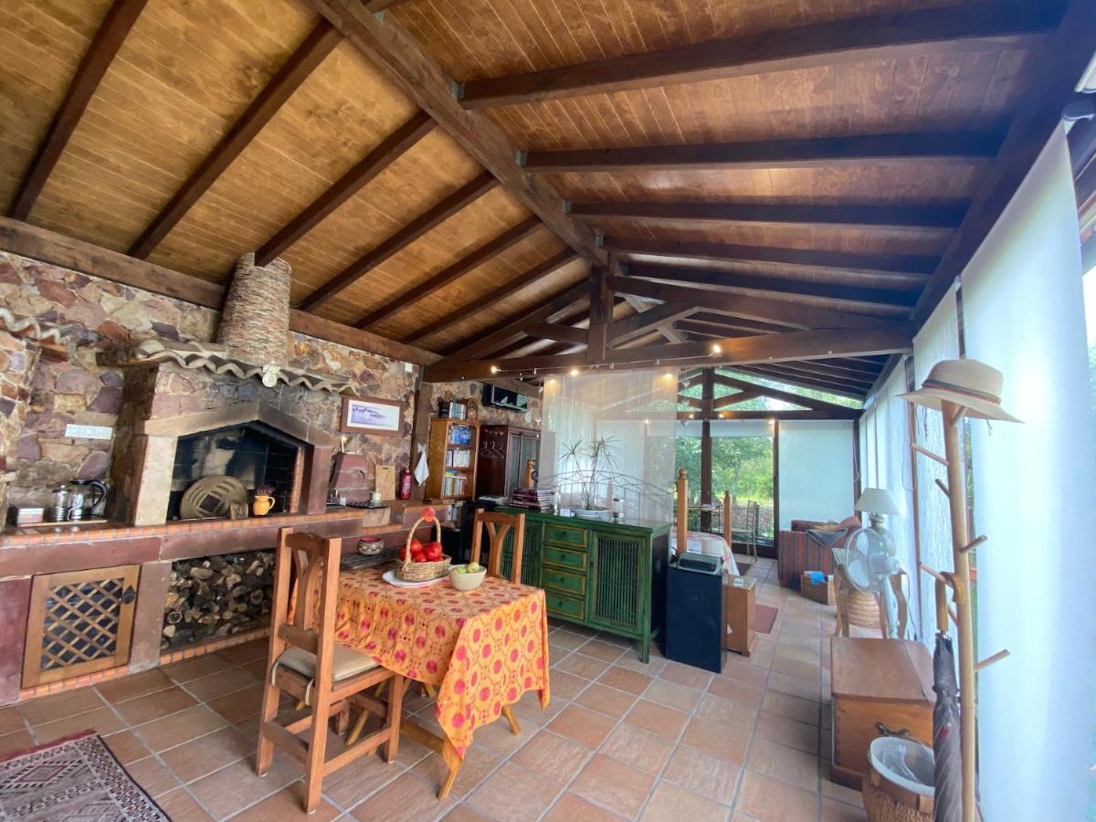 Apartament The Old Watermill Retreat - O Retiro Da Azenha Velha Vila Nova de Poiares Zewnętrze zdjęcie