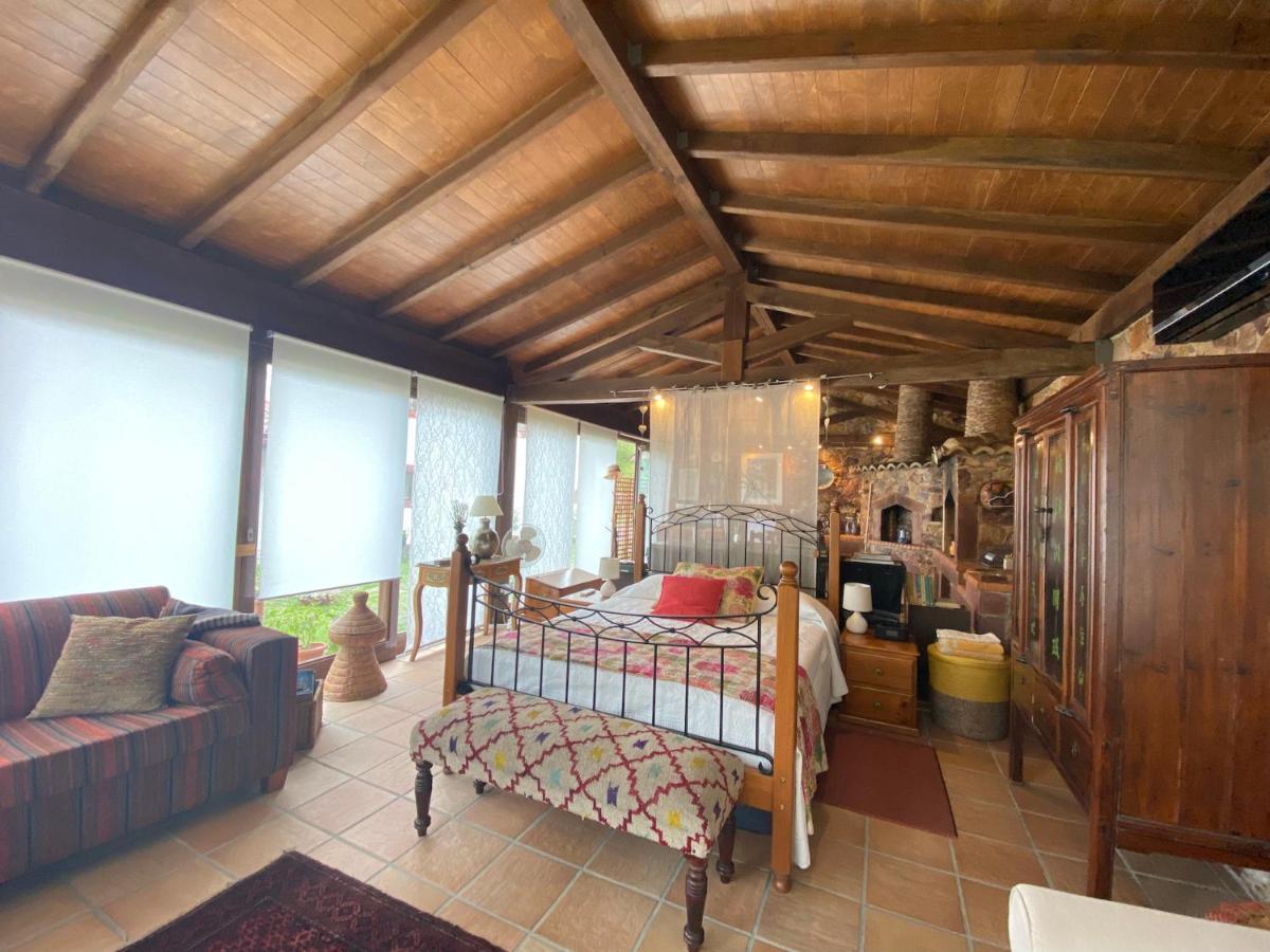 Apartament The Old Watermill Retreat - O Retiro Da Azenha Velha Vila Nova de Poiares Zewnętrze zdjęcie