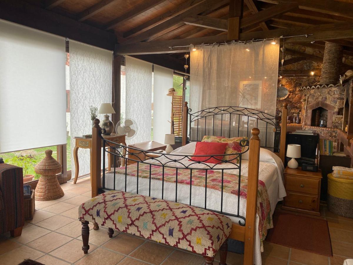 Apartament The Old Watermill Retreat - O Retiro Da Azenha Velha Vila Nova de Poiares Zewnętrze zdjęcie