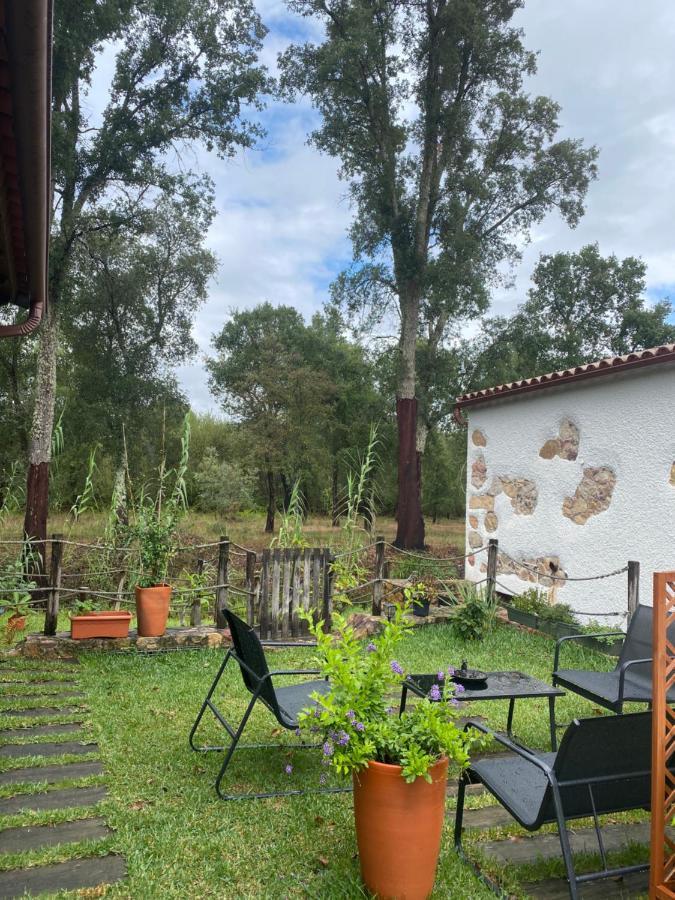 Apartament The Old Watermill Retreat - O Retiro Da Azenha Velha Vila Nova de Poiares Zewnętrze zdjęcie
