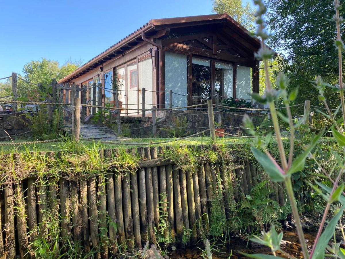 Apartament The Old Watermill Retreat - O Retiro Da Azenha Velha Vila Nova de Poiares Zewnętrze zdjęcie