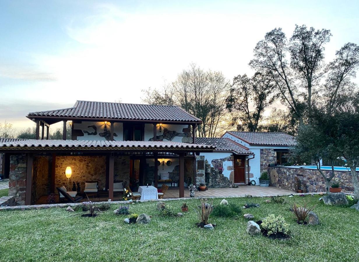 Apartament The Old Watermill Retreat - O Retiro Da Azenha Velha Vila Nova de Poiares Zewnętrze zdjęcie